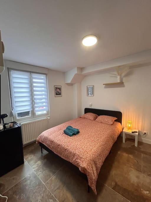 La Ptite Albi Home Nancy Bagian luar foto